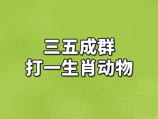 三五成群打一生肖名字_三五成群打一个最佳生肖