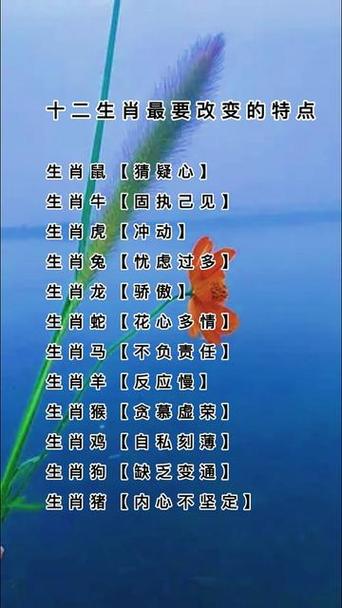 梦笔生花打一生肖动物_梦笔生花是什么意思简写