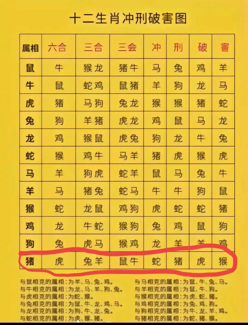 猪克什么生肖_猪克什么生肖相克
