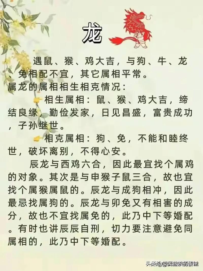 狗冲龙开什么生肖最好_狗冲龙开什么生肖最好呢