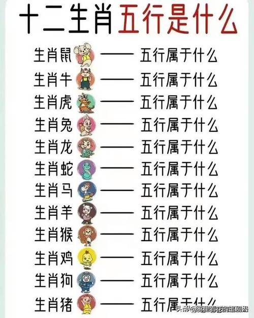 今期生肖各不同代表什么生肖动物_今期生肖各不同代表什么生肖动物和数字