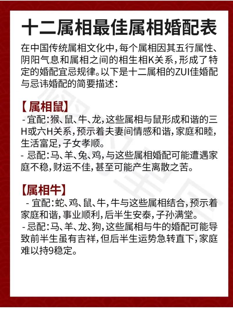 单身女强人打一生肖_单身男女代表什么生肖