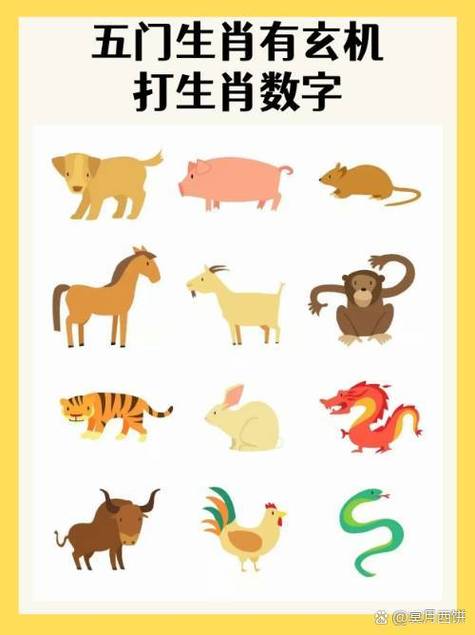 玄机三六是什么意思_玄机三六点代表什么生肖或数字