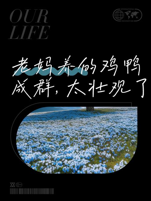 包含“山青水秀民情樸，鸡鸭成群粮食富”打一个生肖动物的词条