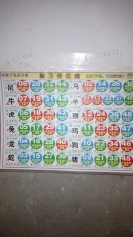 看出玄机在哪里了吗_看出玄机在本期是什么生肖