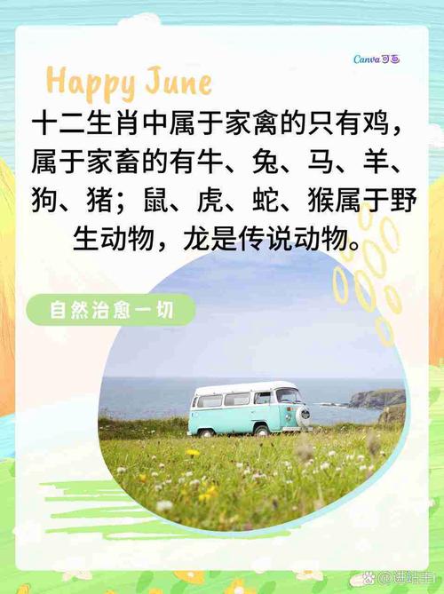 狗猴今期不中用是什么生肖_狗猴今期不中用,鸡虎羊龙有看头