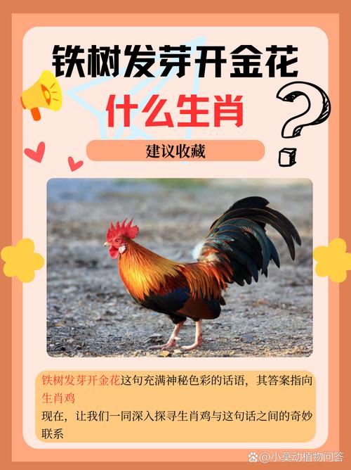今期生肖最时髦正确答案_今期生肖最好查,是哪个生肖