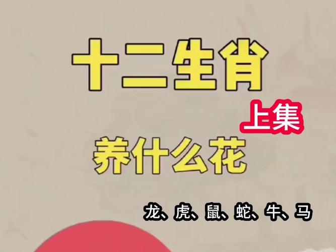 今期生肖开红花是什么生肖呢图片_今期生肖是红花,生肖还需自己查是什么生肖