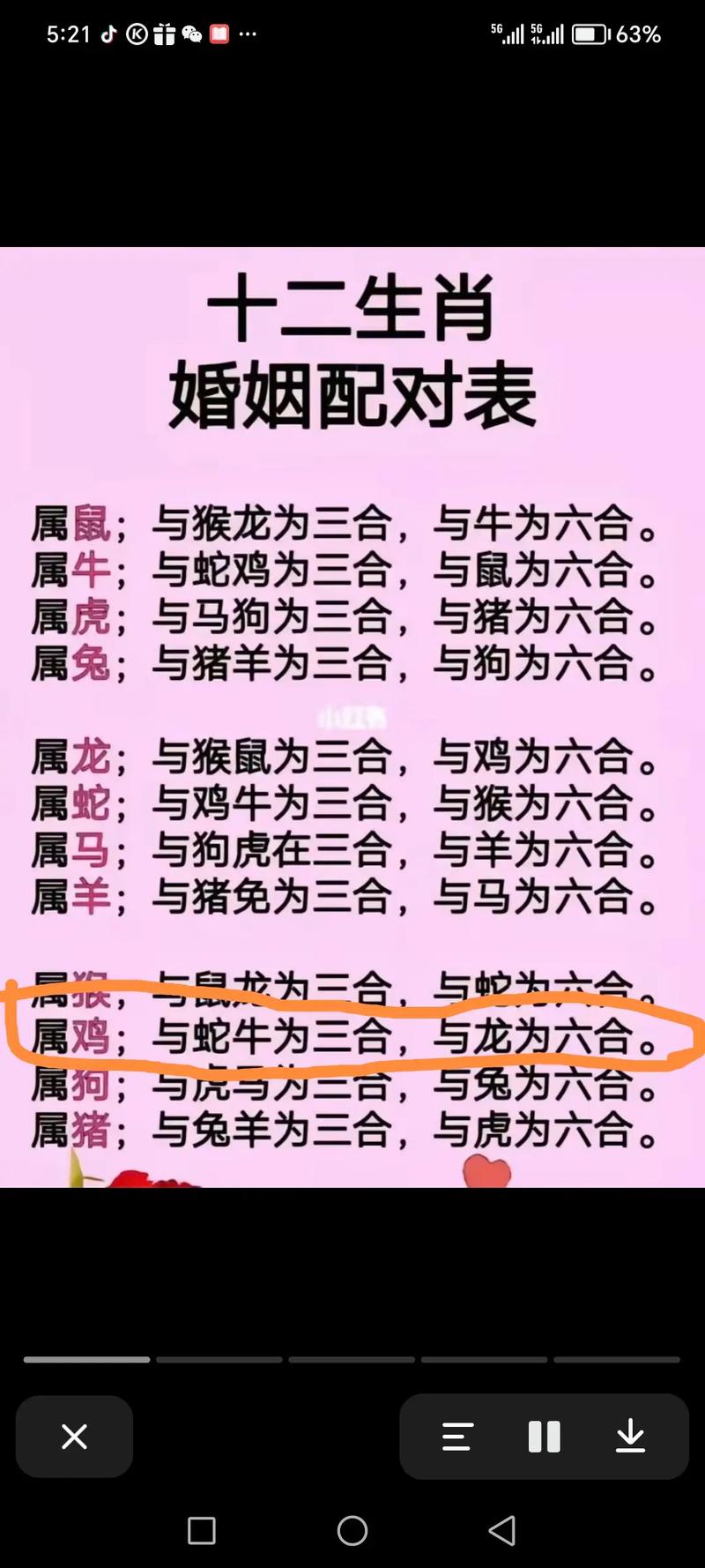 一七退五定今期指的是_一七退五定今期指的是什么生肖