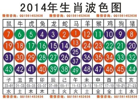 今期开金最佳答案是什么_今期开什么生肖动物视频2o19
