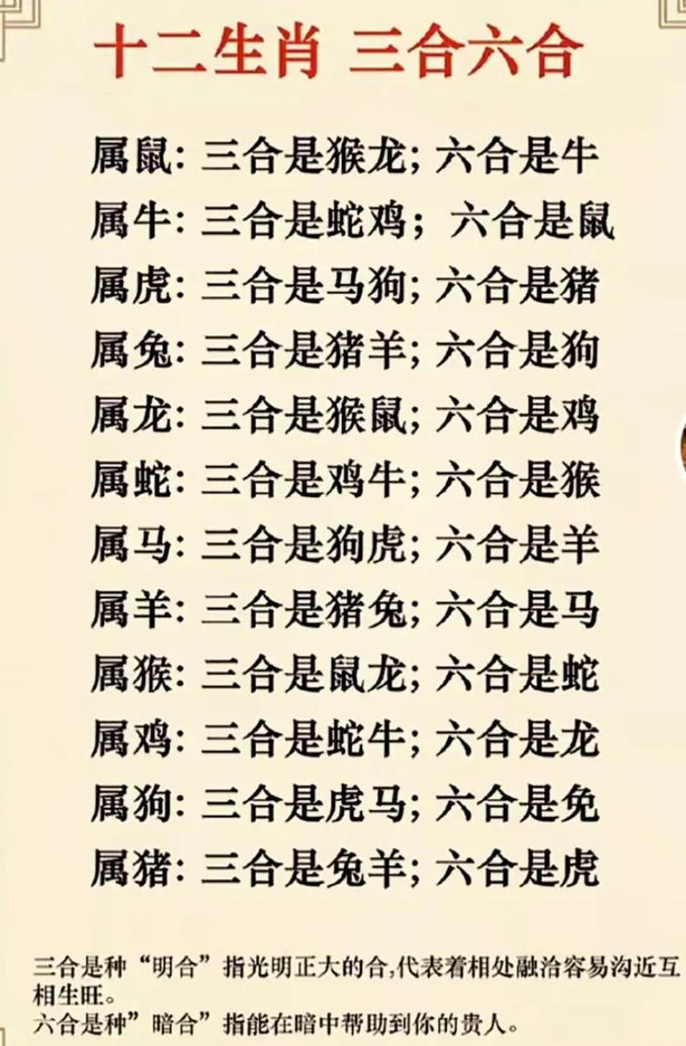一九相合在今期最佳答案_一九作合中本期是什么生肖