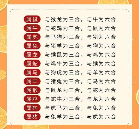 什么生肖最好斗_什么生肖好斗逞强