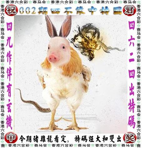 今期生肖在家中正确答案_今期生肖家中正确答案一肖