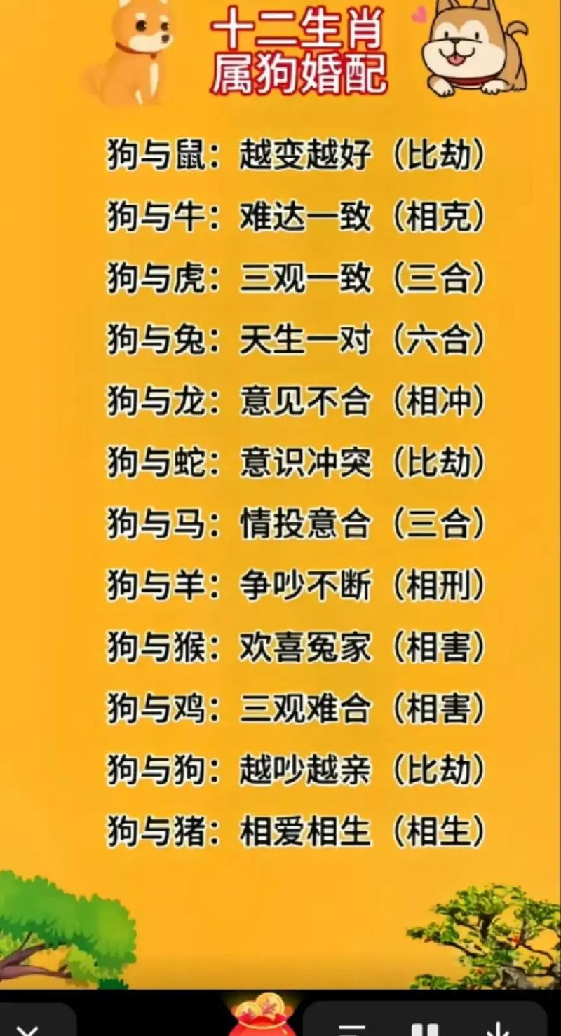 今期猴狗有玄机什么意思_狗猴今期不中用是什么生肖