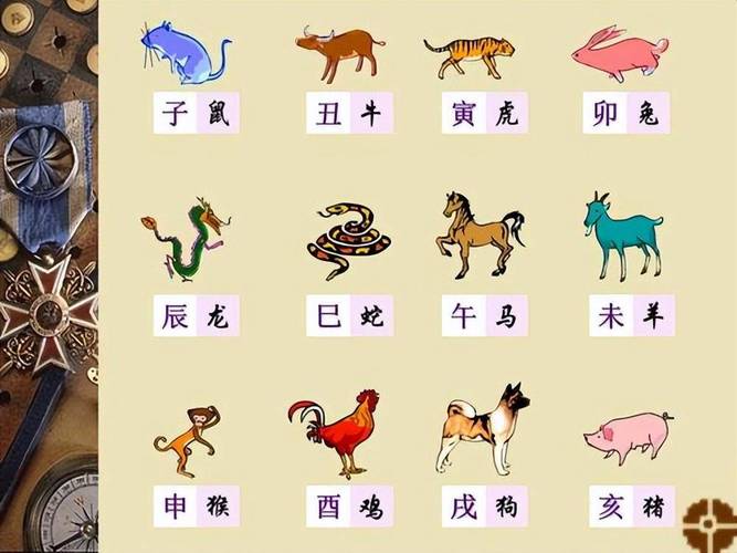 今期生肖是哪个主要生肖呢_今期生肖是哪个主要生肖呢图片