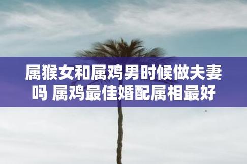 什么生肖旺猴和鸡_猴和鸡生什么生肖最好呢?
