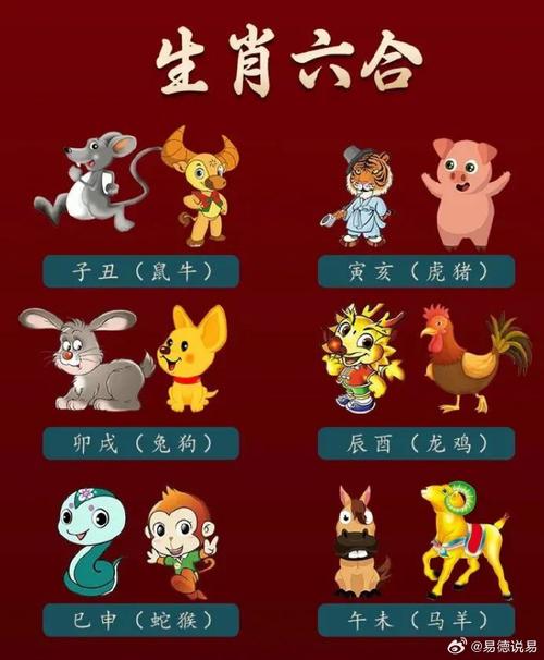 今期生肖来得猛最佳生肖_今期生肖来六成是什么生肖