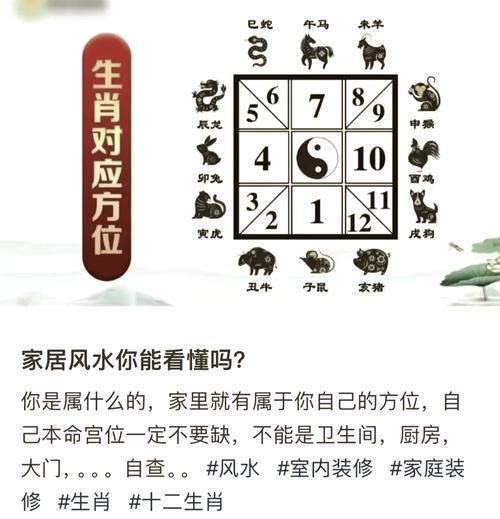 今期生肖西北方的生肖是什么动物_今期生肖在北边,请问是什么生肖?