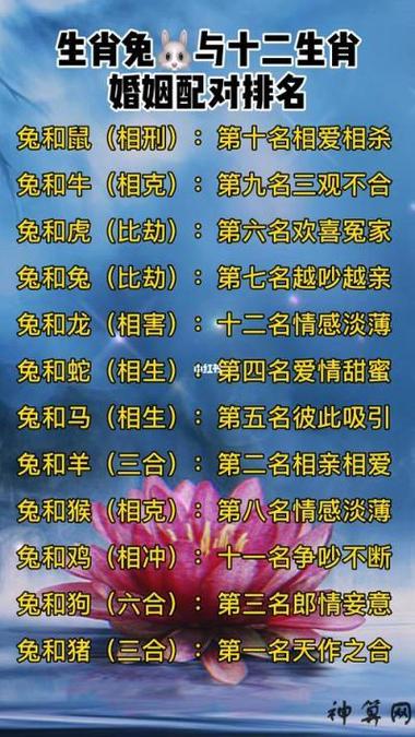 兔和什么生肖冲突_兔和什么生肖冲突最厉害