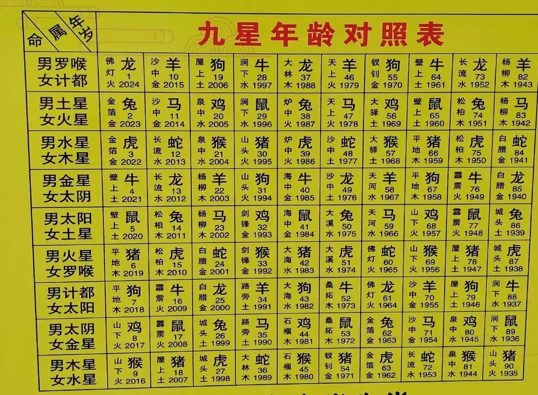 今期生肖二四排代表数字几的简单介绍