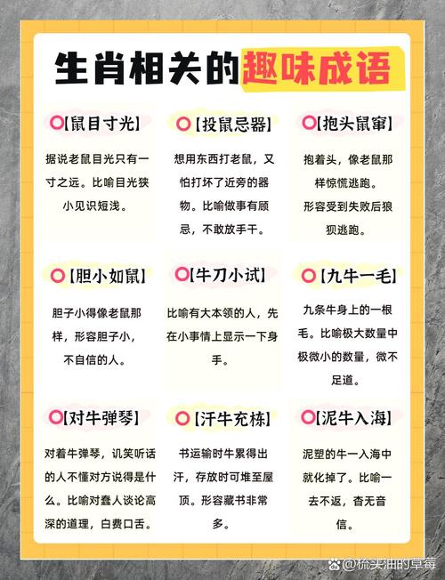 包含“呆头呆脑”打一最佳准确生肖的词条