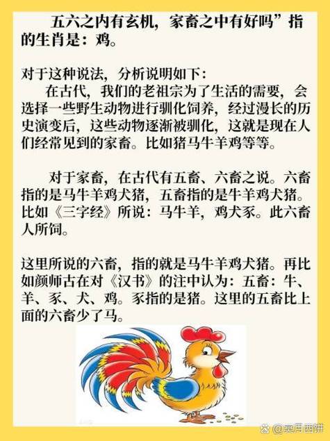 家畜打一生肖_家畜是哪些生肖