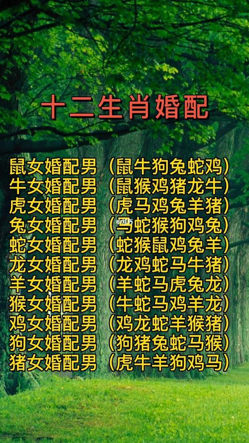 “怜孤惜寡”打一最佳准确生肖的简单介绍