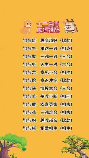 狗和什么生肖相配_和生肖狗相合的生肖