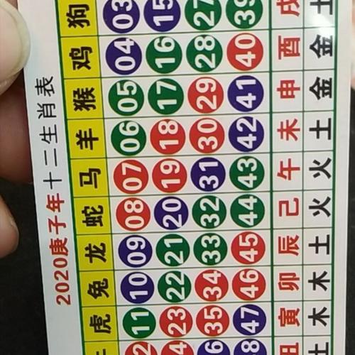 今期生肖听意见打一生肖_今期生肖最简单代表什么数字