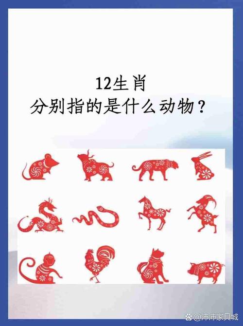 关于“胡乱择偶，雏凤随鸦。年少无知眼光差”是什么生肖动物的信息