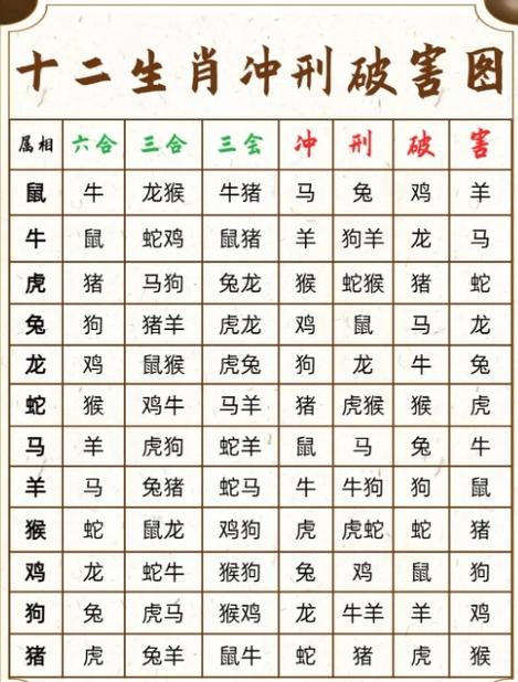 什么生肖关系最好_什么生肖关系最好的