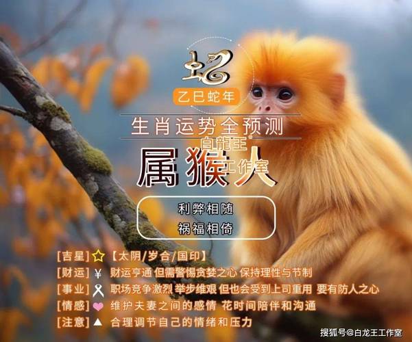 福星指的是什么生肖_福星指的是什么生肖呢
