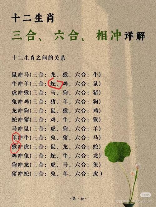 关于“按捺不下”打一准确动物生肖的信息