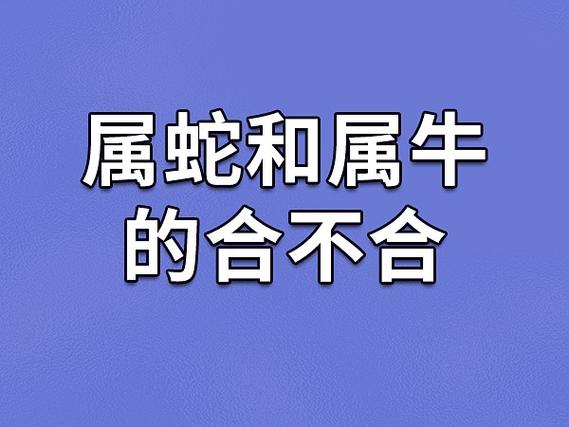 什么生肖最旺蛇和牛的简单介绍