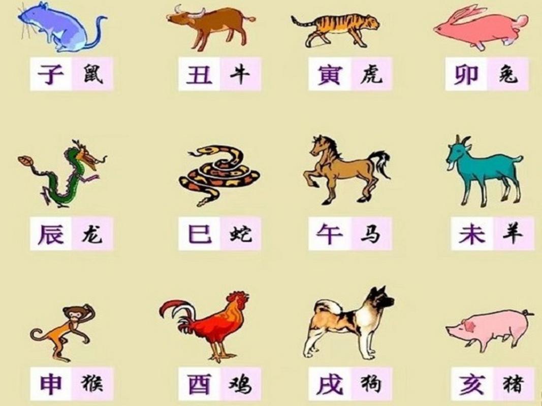 今期生肖出江河猜正确生肖_今期生肖出江河是什么一生肖