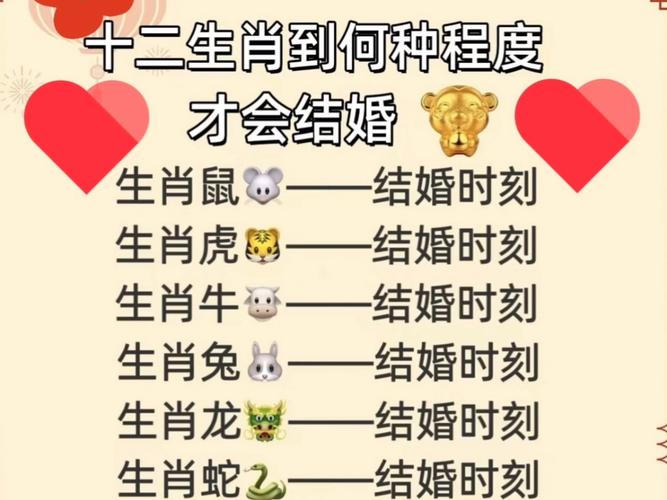 形影不离伴一生是什么生肖_形影不离伴一生是什么生肖数字