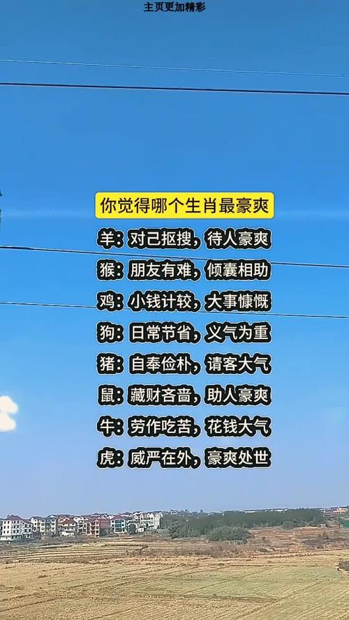 什么生肖豪爽大气_什么生肖豪爽大气呢
