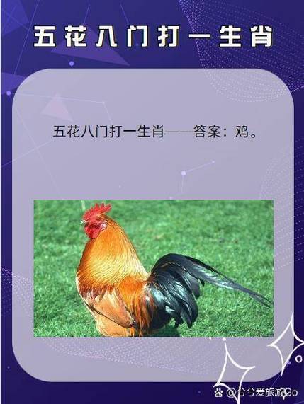 打一生肖指的是什么_漂洋过海打一生肖指的是什么
