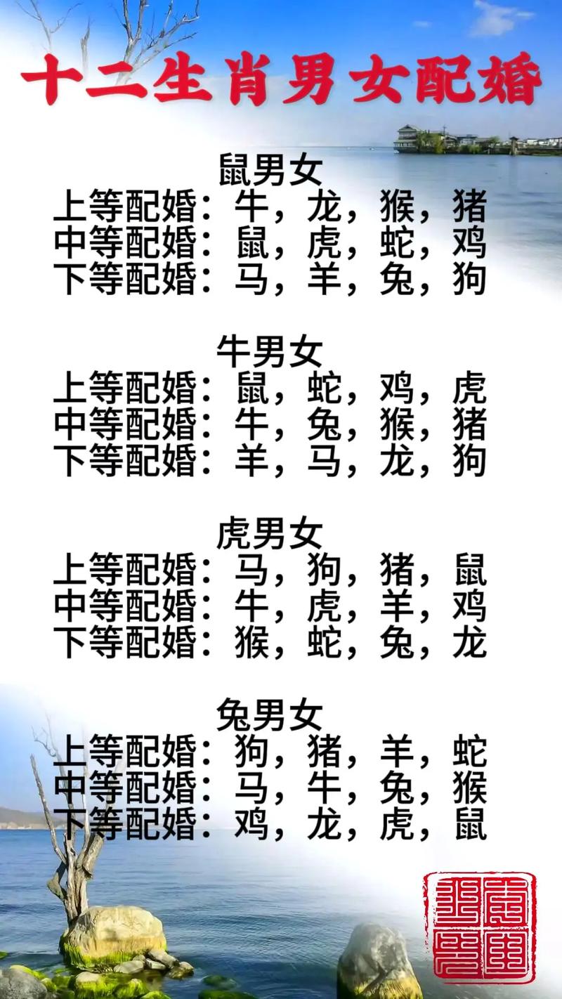 正确答案是什么生肖最佳答案的简单介绍