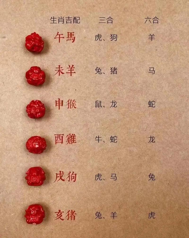 今期生肖定龙羊是指什么生肖_今期生肖定龙羊是指什么生肖动物