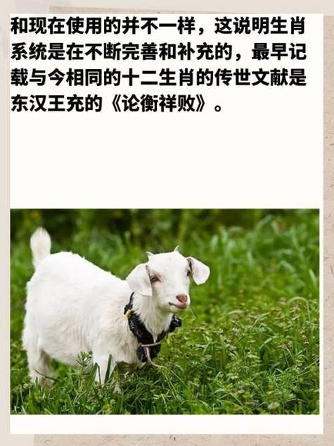 一定开红花指什么生肖_一定开红花指什么生肖和动物