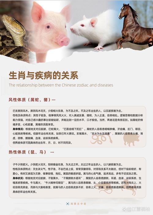 生肖今期土字头指什么生肖_生肖今期土字头指什么生肖和动物