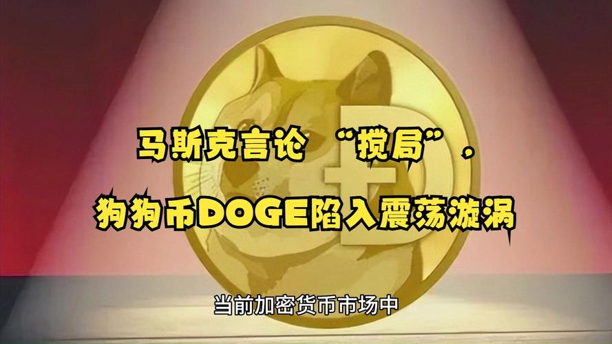 狗狗币马斯克持有吗_马斯克提醒狗狗币有风险