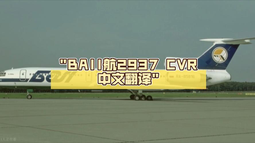 飞机软件中文翻译_飞机软件中文翻译包