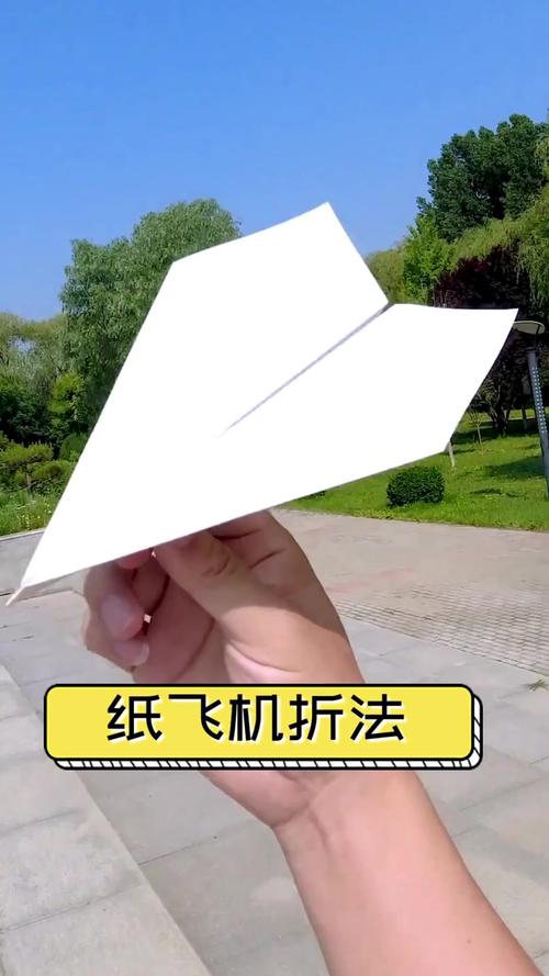 手机纸飞机设置中文教程_手机纸飞机怎么弄成中文版的