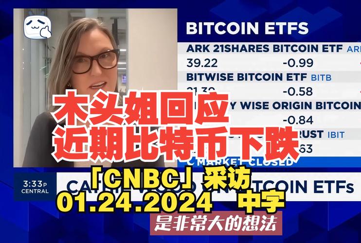 比特币最新消息_木头姐的比特币最新消息