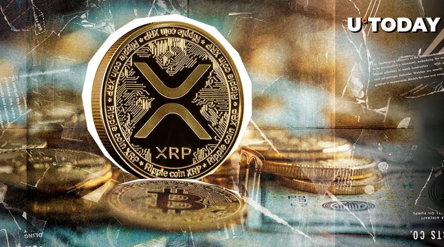 瑞波币官网最新消息_瑞波币2021最新消息