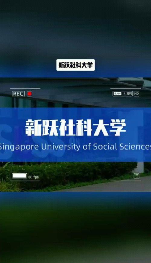 usd大学_usd大学是哪个学校