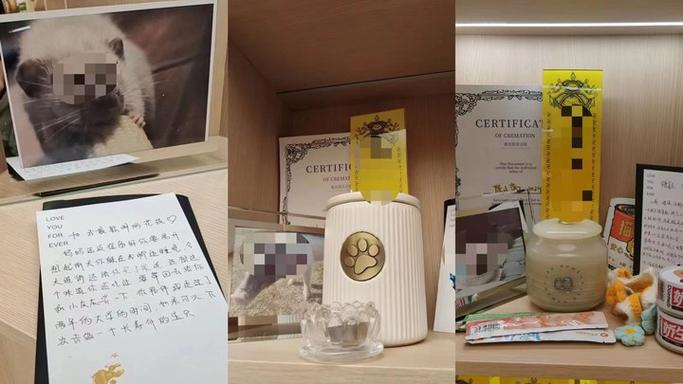 狗狗祭祀最好用哪种纸钱_狗狗祭祀最好用哪种纸钱呢