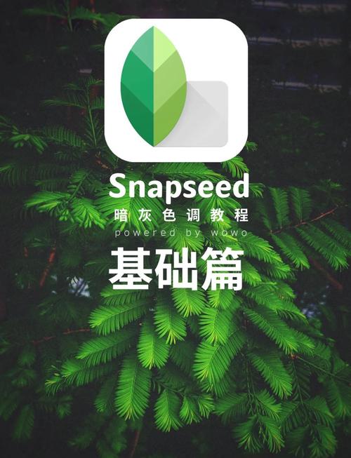 Snapchat如何调成中文_snapchat怎么设置中文语言